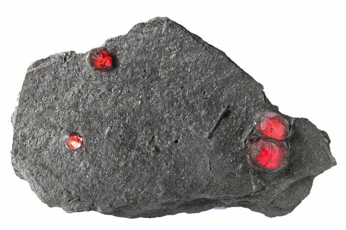 Plate of Three Red Embers Garnets in Graphite - Massachusetts #272732